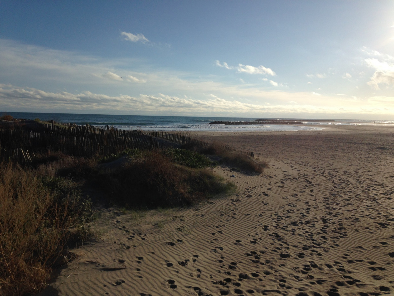 en location saisonnière Appartement Sète - Photo 9