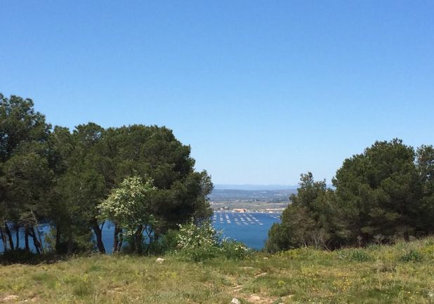 en location saisonnière Appartement Sète