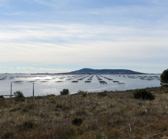 en location saisonnière Appartement Sète