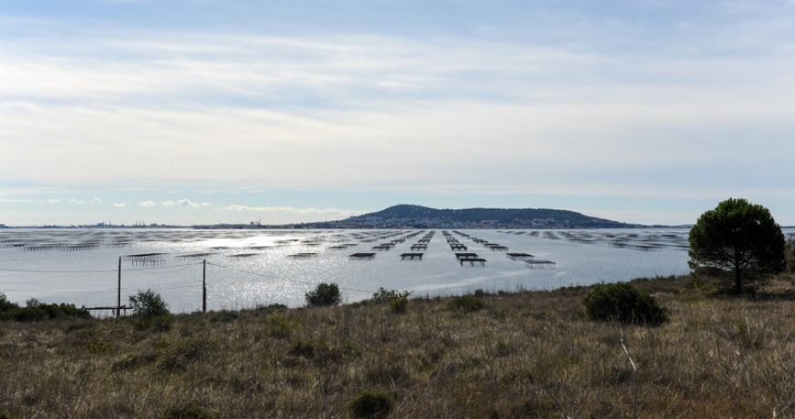 en location saisonnière Appartement Sète