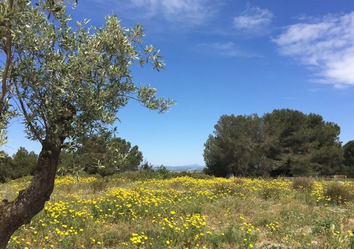 en location saisonnière Maison Sète