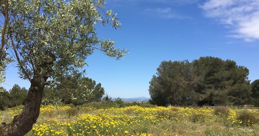 en location saisonnière Maison Sète