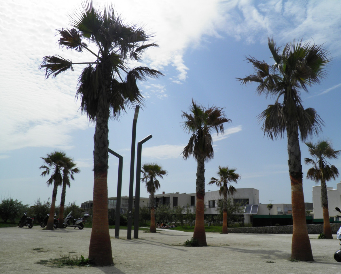 en location saisonnière Studio cabine Sète - Photo 10