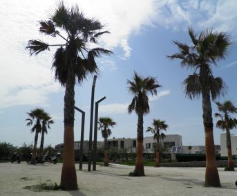 en location saisonnière Studio cabine Sète