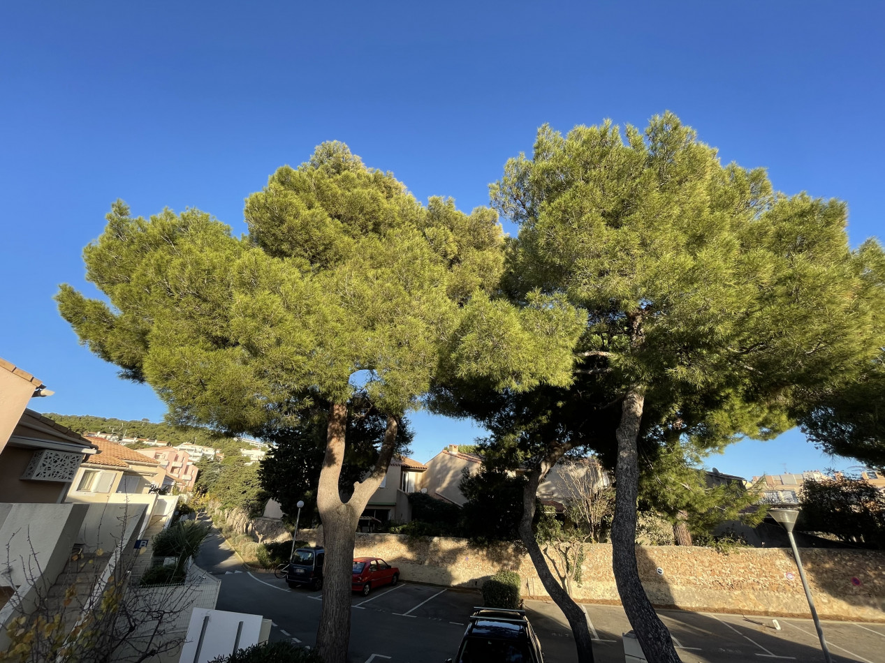 en location saisonnière Appartement Sète - Photo 3