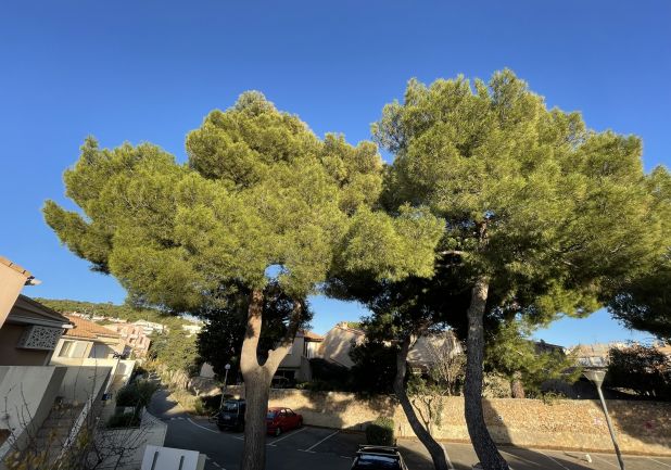 en location saisonnière Appartement Sète