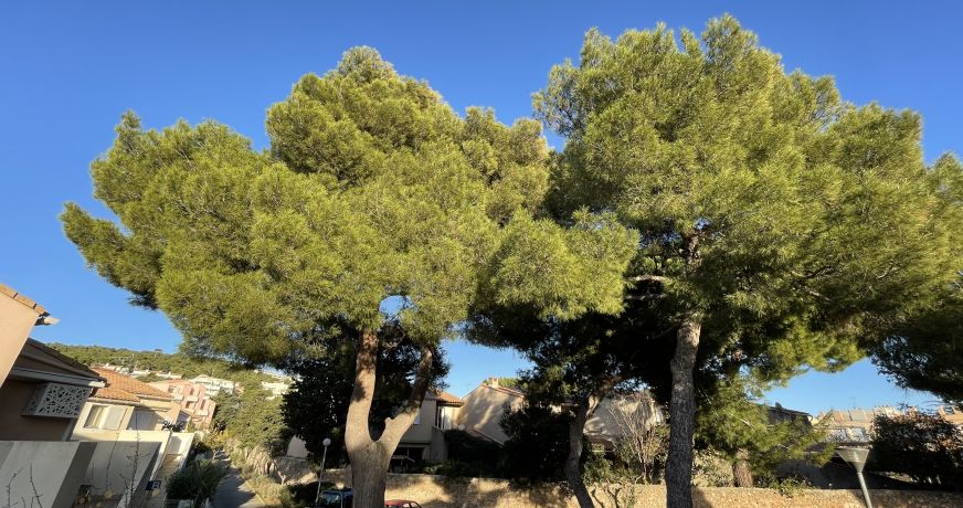 en location saisonnière Appartement Sète