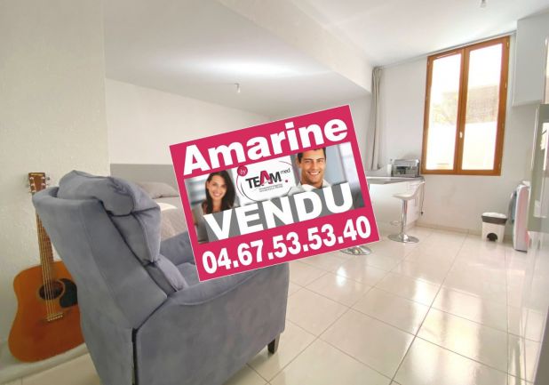 vente Appartement Sete