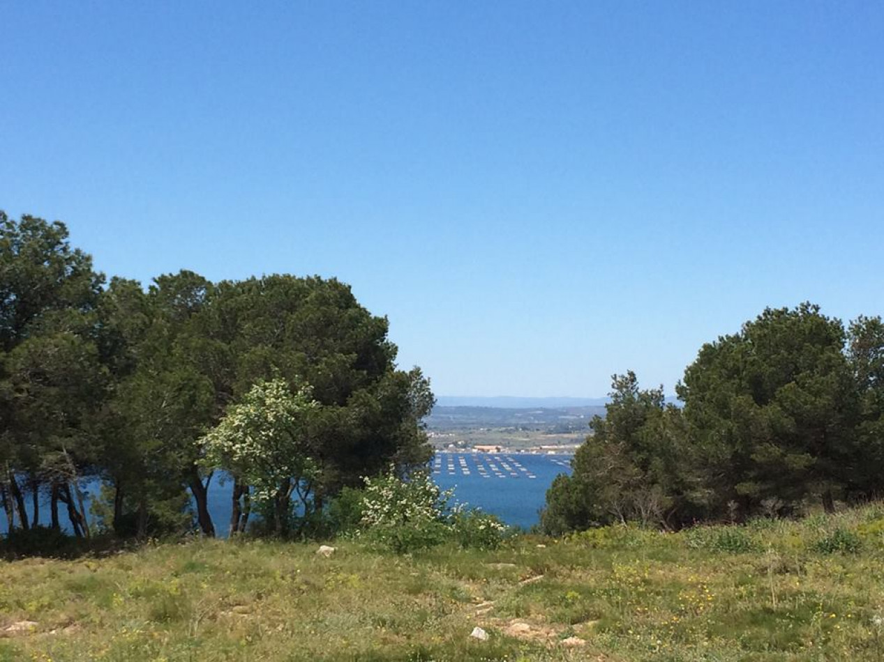 en location saisonnière Appartement Sète - Photo 18