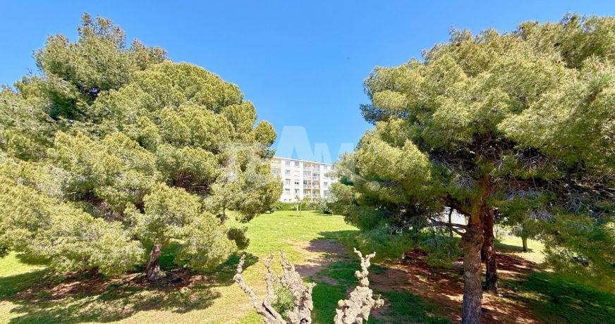 vente Appartement Sete