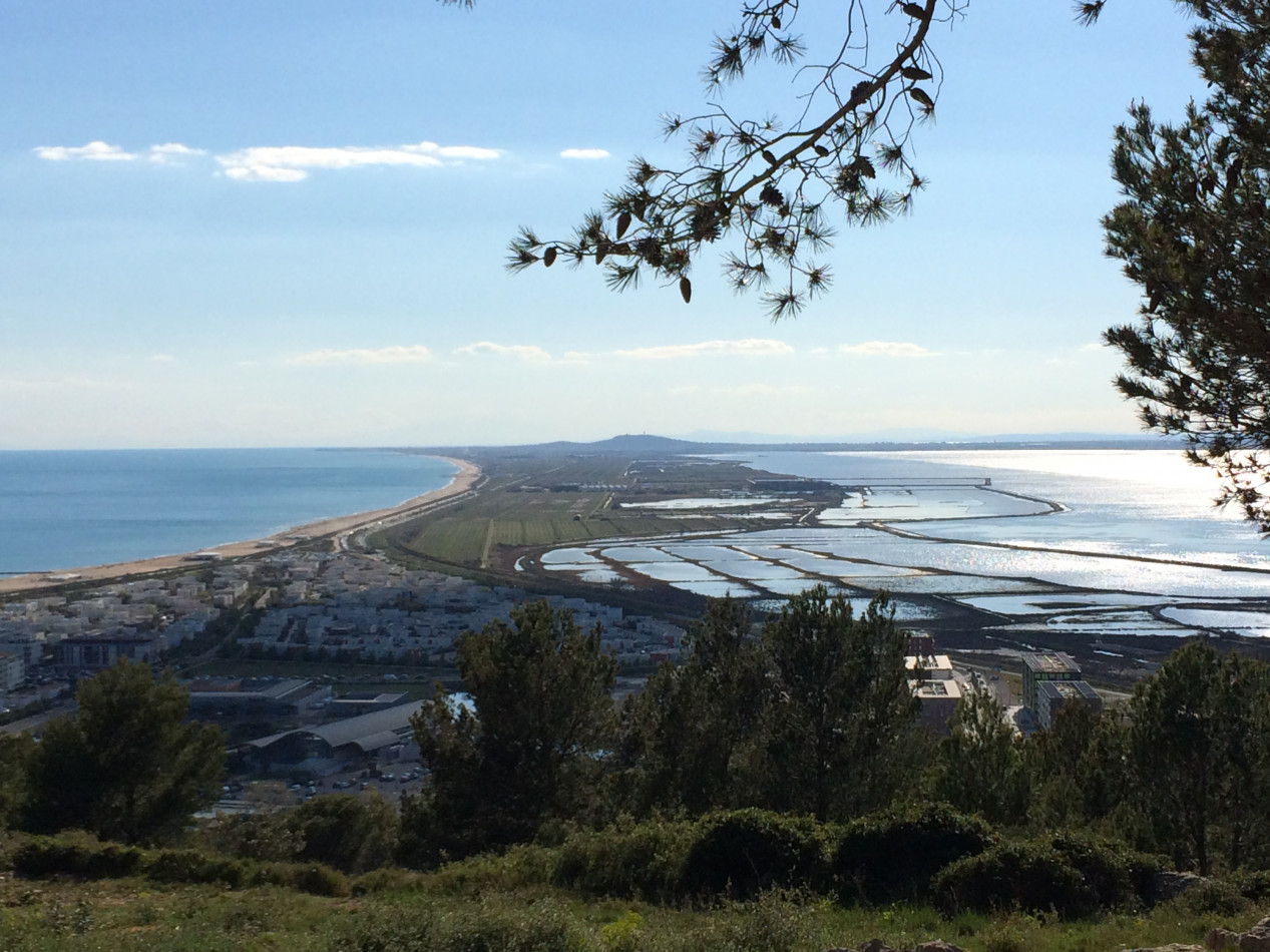 en location saisonnière Appartement Sète - Photo 16