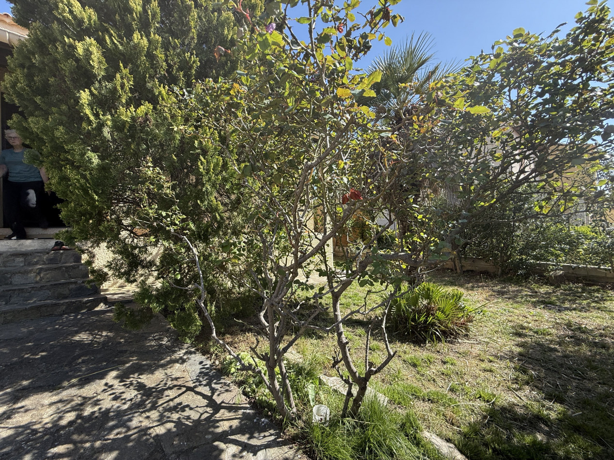 en location saisonnière Maison Sète - Photo 6