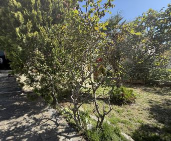 en location saisonnière Maison Sète