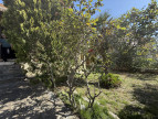 en location saisonnière Maison Sète