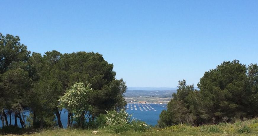 en location saisonnière Appartement Sète