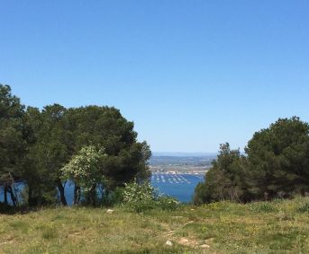 en location saisonnière Appartement Sète