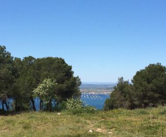 en location saisonnière Appartement Sète