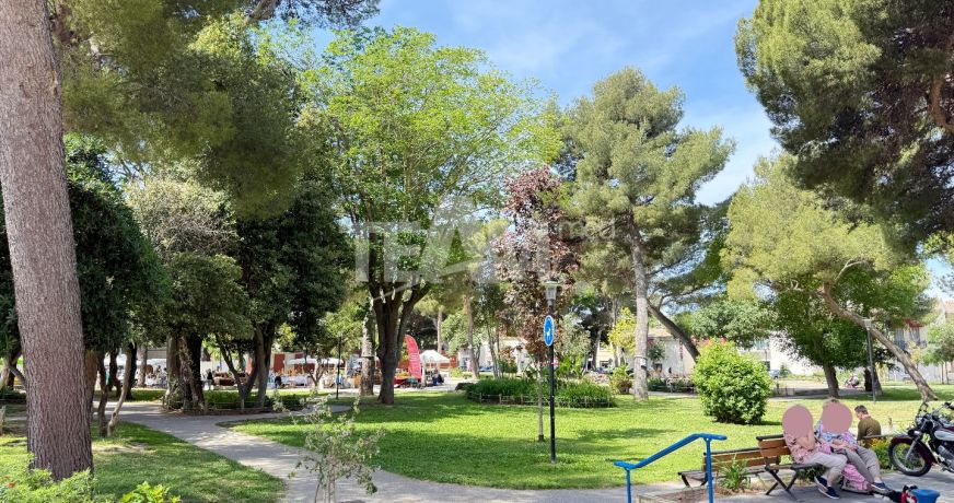 vente Appartement Balaruc Les Bains