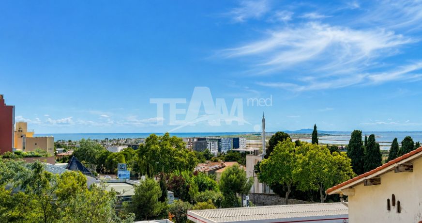 vente Appartement Sete