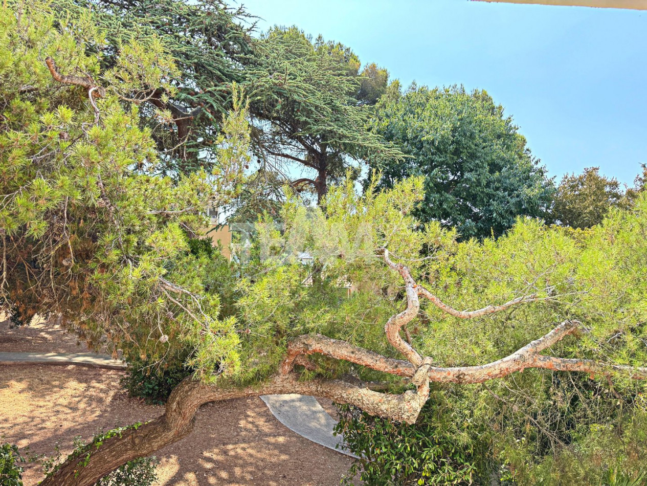 vente Appartement Sete - Photo 5