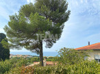 à vendre Maison Sete