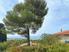sale Maison Sete