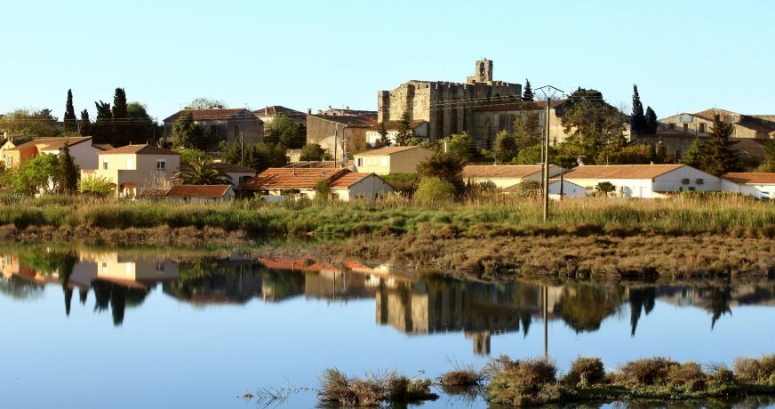 vente Appartement Vic La Gardiole