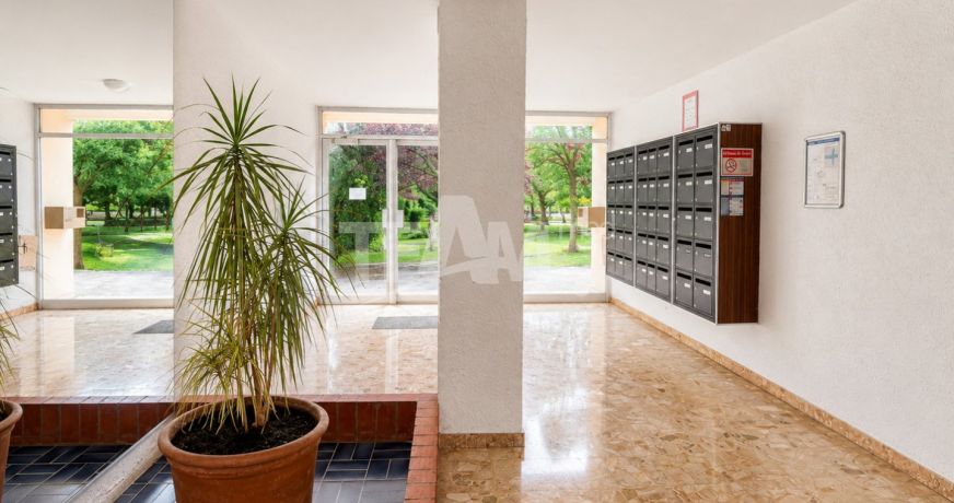 vente Appartement Balaruc Les Bains