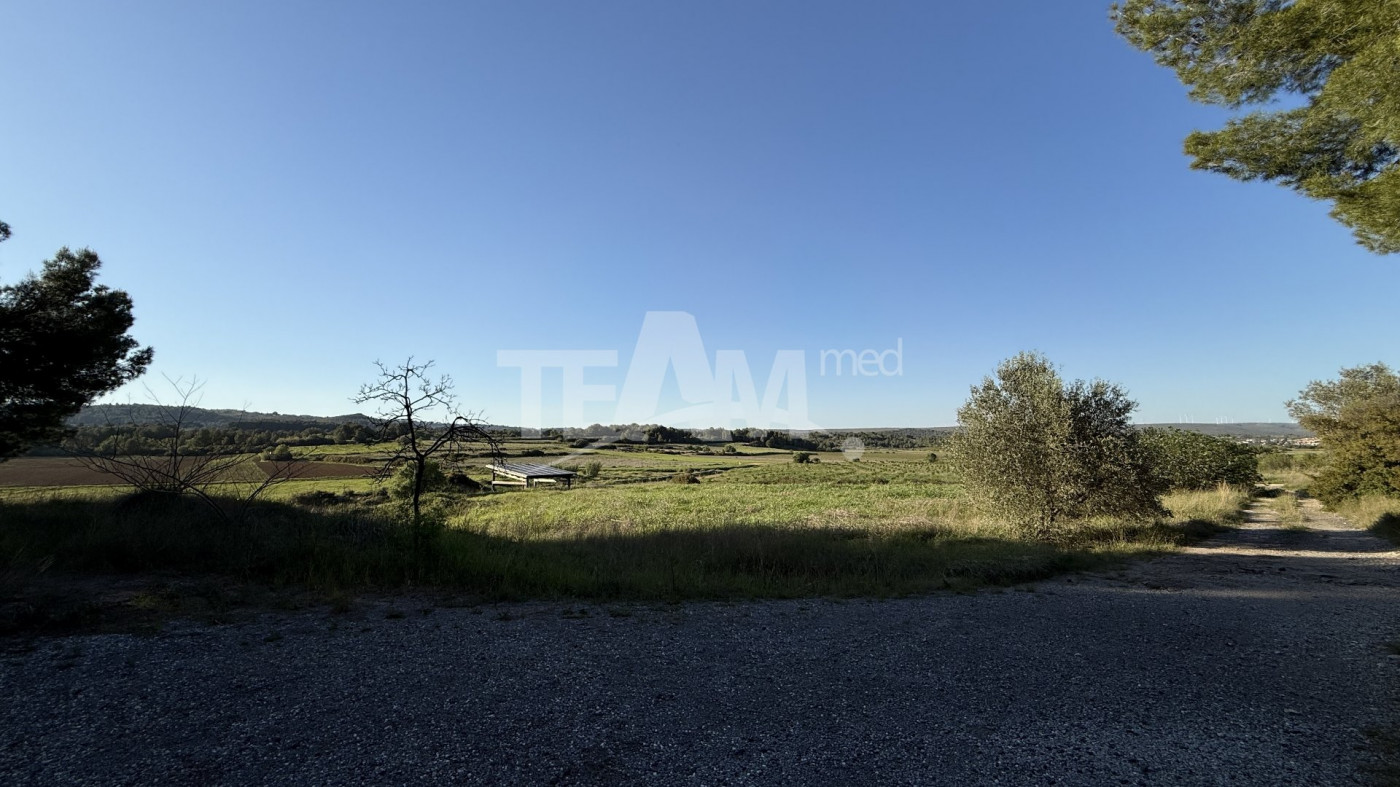 vente Propriété Villeveyrac - Photo 5