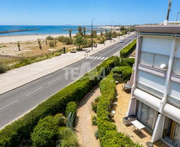 vente Sete