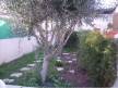 vente Villa Marseillan
