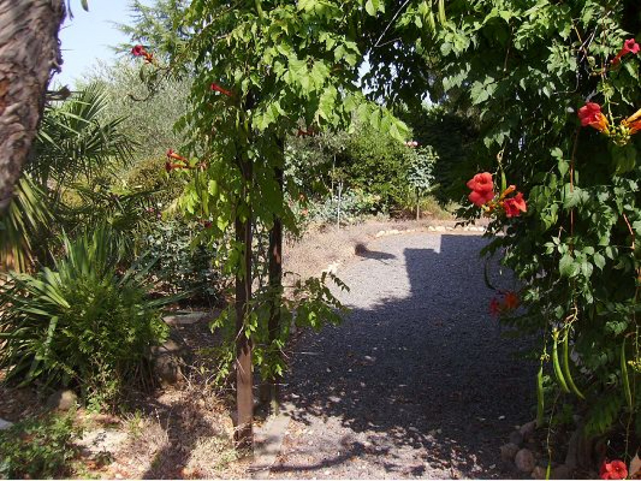 vente Maison Bessan - Photo 35