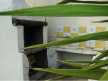 vente Maison Saint Thibery