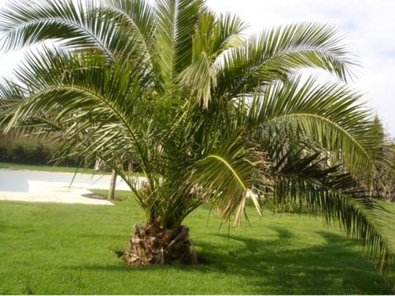 vente Villa Le Grau D'agde - Photo 25