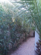 vente Maison Le Grau D'agde