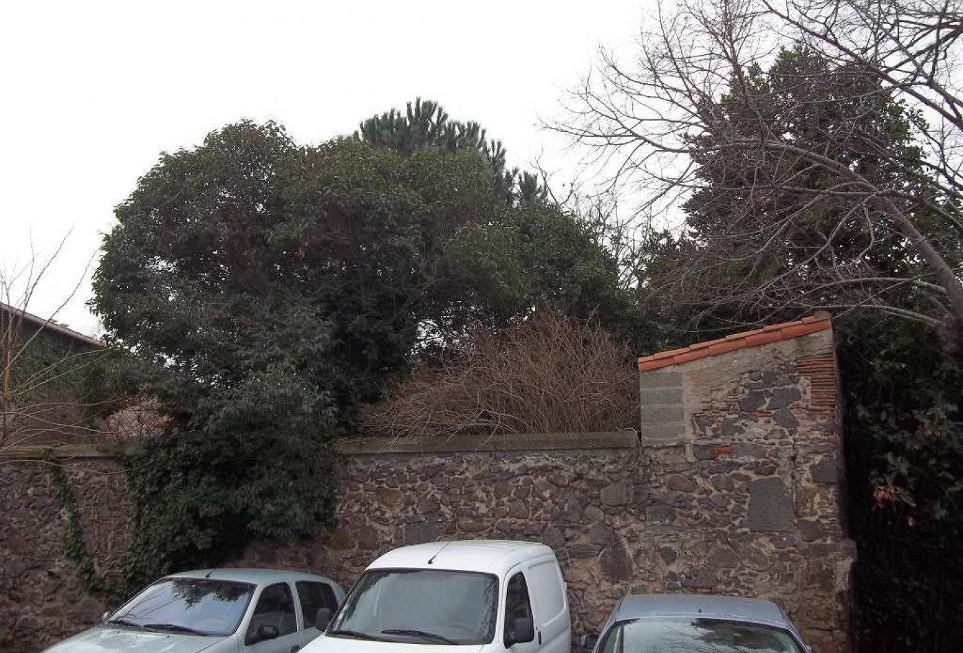 vente Terrain constructible Agde - Photo 5