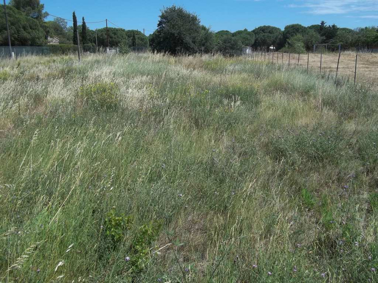 vente Terrain de loisir Le Cap D'agde - Photo 2