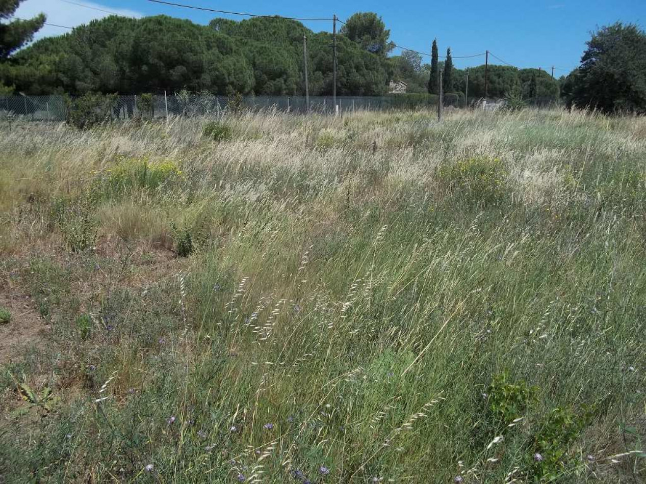 vente Terrain de loisir Le Cap D'agde - Photo 3