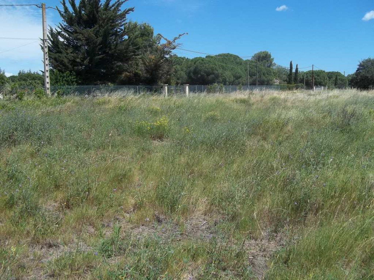 vente Terrain de loisir Le Cap D'agde - Photo 1