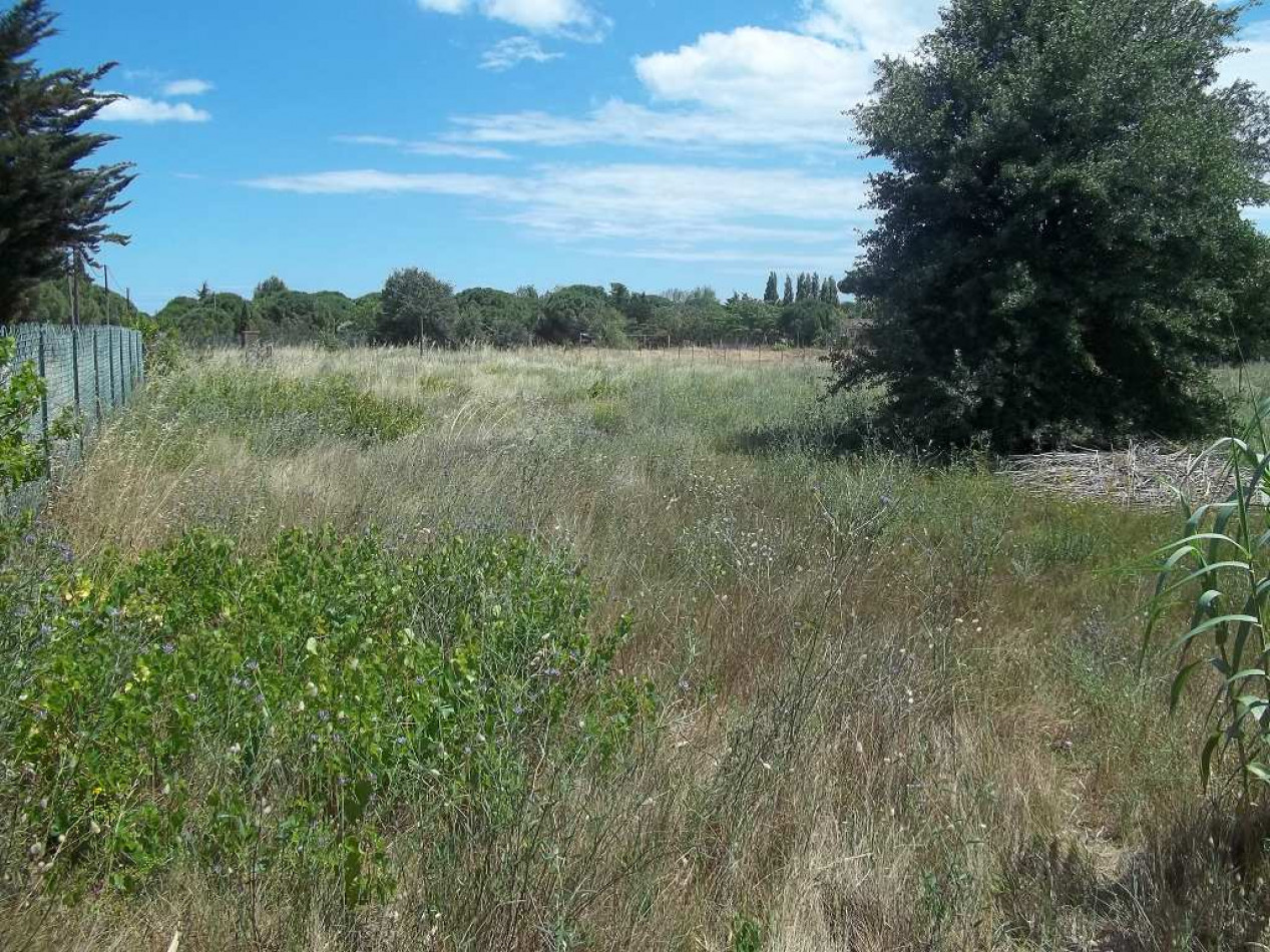 vente Terrain de loisir Le Cap D'agde - Photo 7