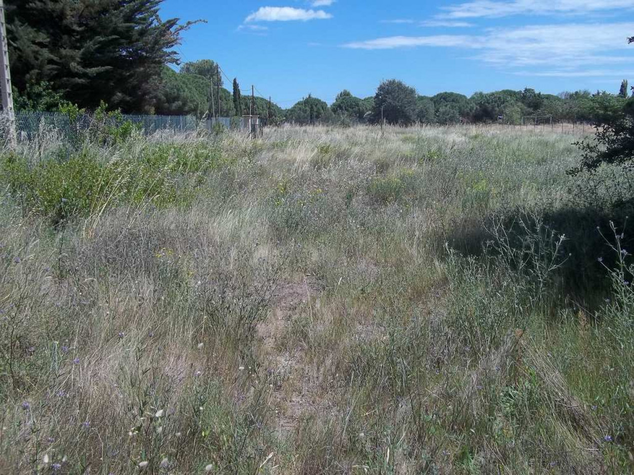 vente Terrain de loisir Le Cap D'agde - Photo 9