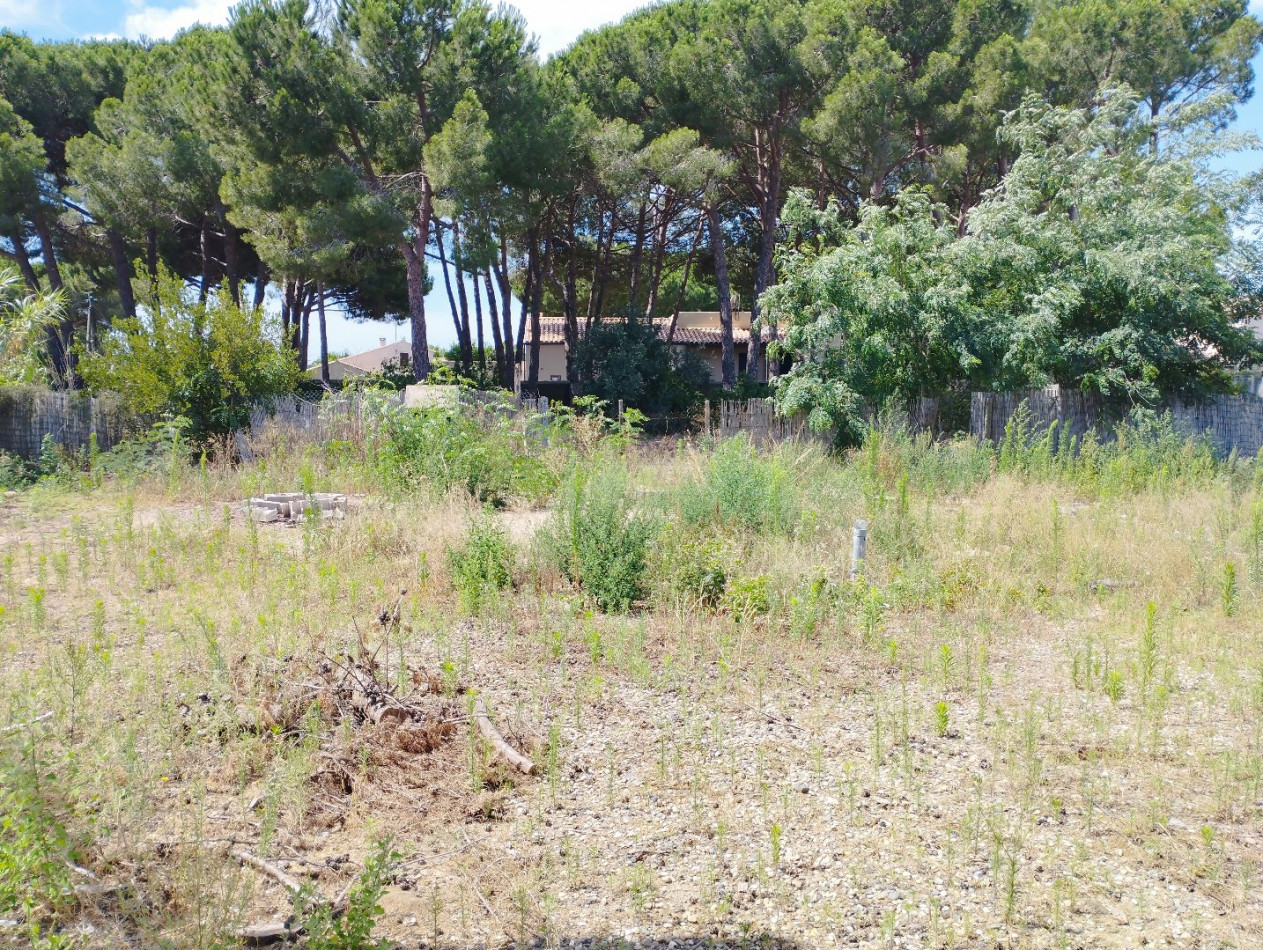 vente Terrain constructible Le Grau D'agde - Photo 5