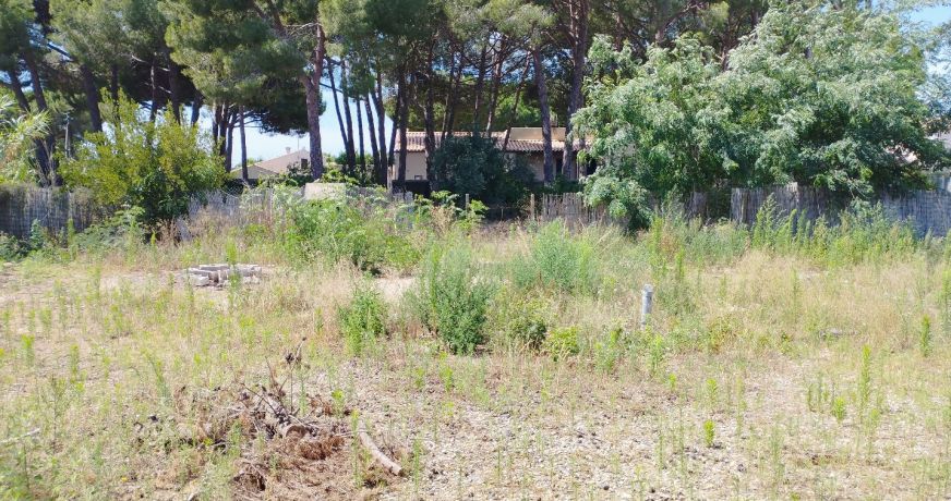 vente Terrain constructible Le Grau D'agde