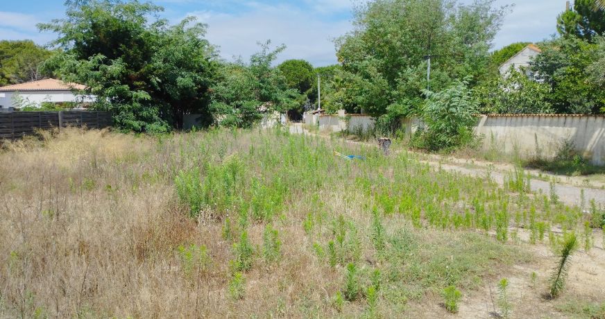 vente Terrain constructible Le Grau D'agde