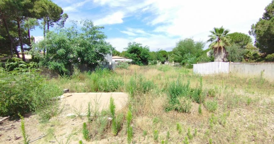 vente Terrain constructible Le Grau D'agde