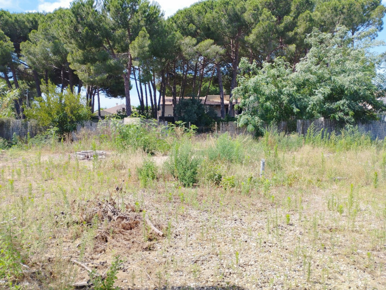 vente Terrain constructible Le Grau D'agde - Photo 7