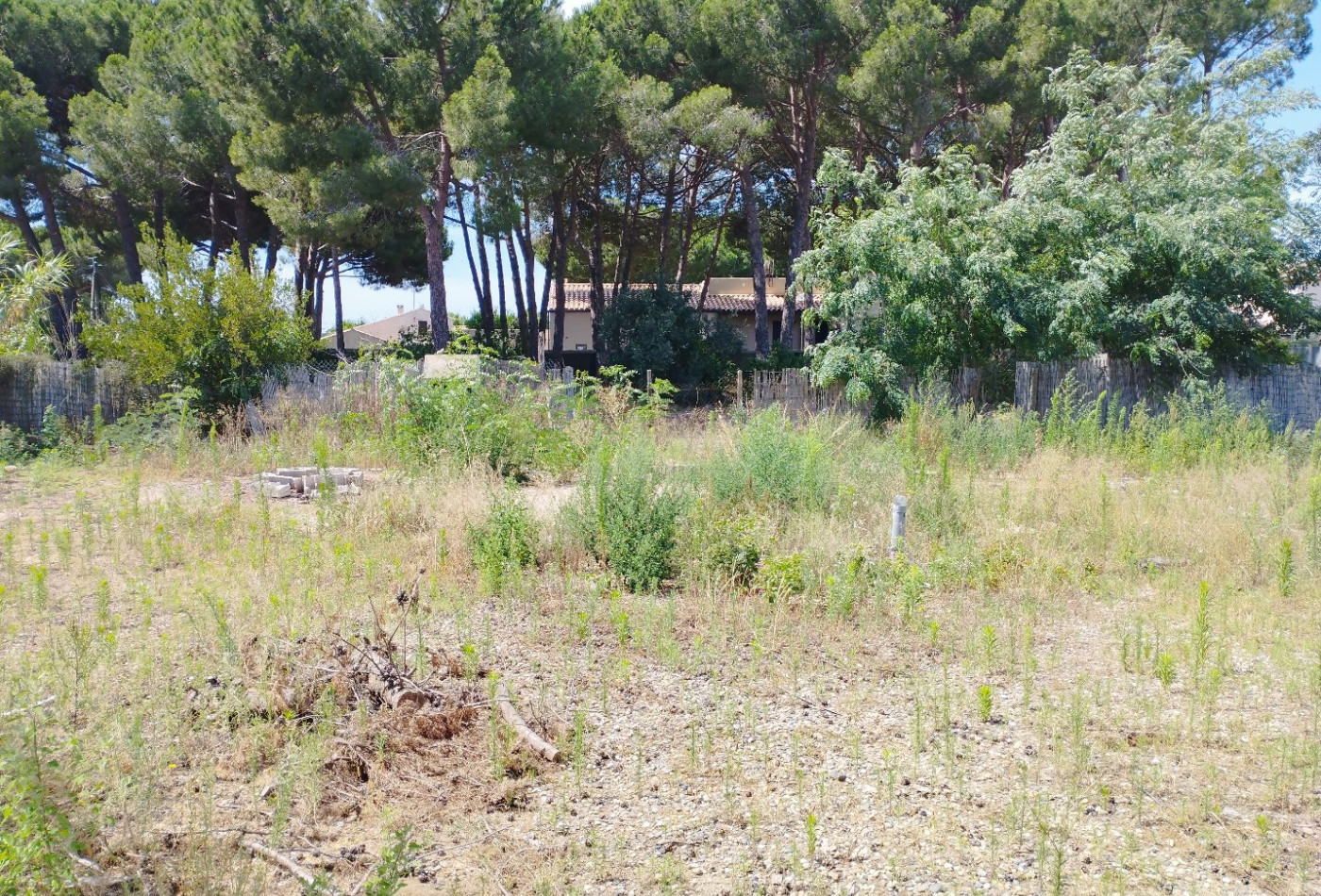 vente Terrain constructible Le Grau D'agde - Photo 7
