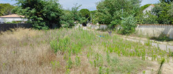 vente Terrain constructible Le Grau D'agde