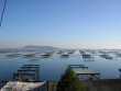 for seasonal lettings Maison Marseillan Plage
