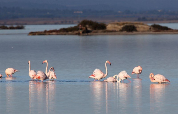 for seasonal lettings Maison Marseillan Plage - Photo 9